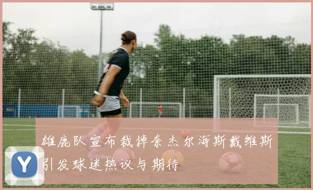 雄鹿队宣布裁掉奈杰尔海斯戴维斯引发球迷热议与期待