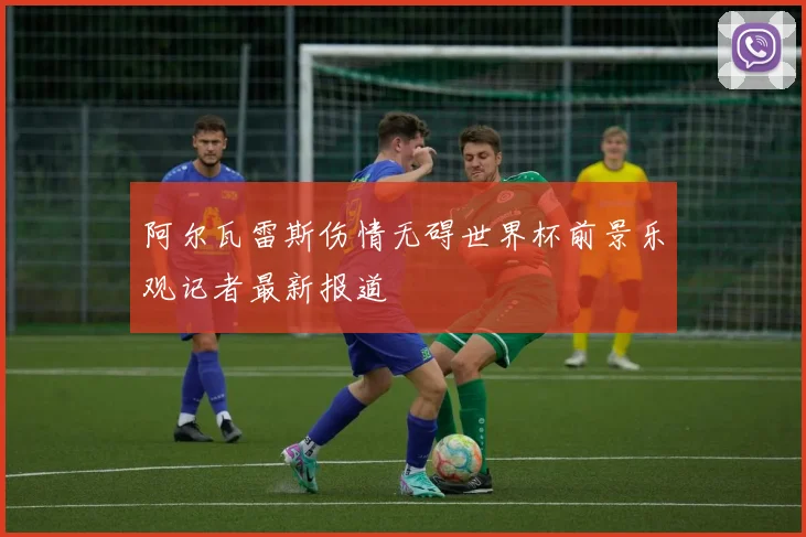 阿尔瓦雷斯伤情无碍世界杯前景乐观记者最新报道